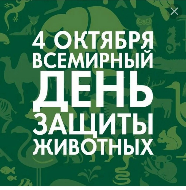 День защиты животных.